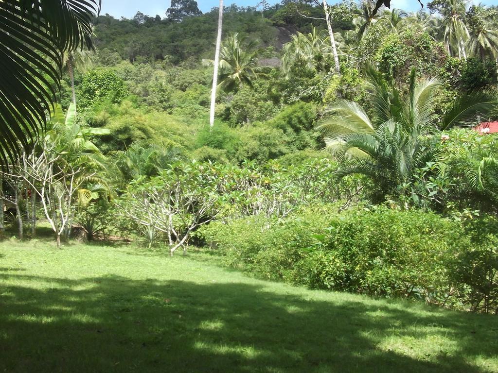 Wilai Villa Lamai Maret Zimmer foto